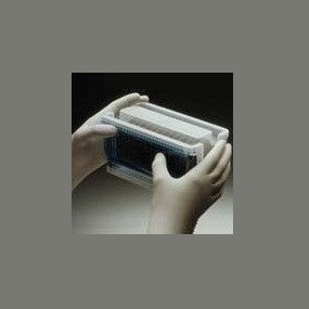 Gloves Nitrile Gloves Nitrile